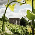 Gaestehaus Im Weingut Am Stein * Wurzburgo