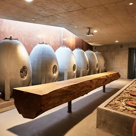 Gaestehaus Im Weingut Am Stein Semesterbostad *