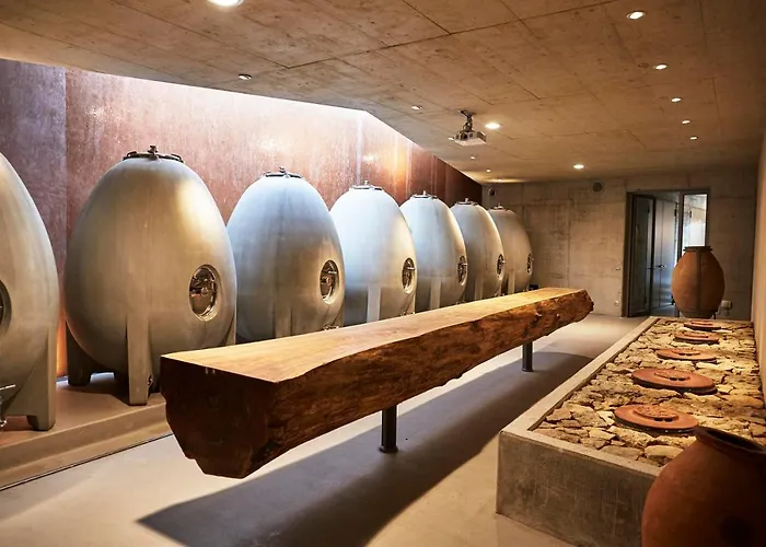 Gaestehaus Im Weingut Am Stein בית נופש