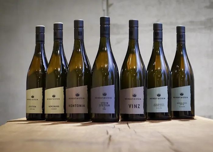 Gaestehaus Im Weingut Am Stein בית נופש