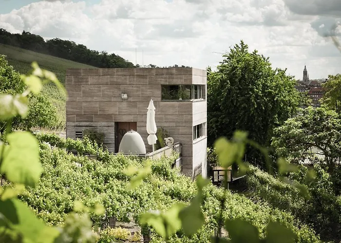 Gaestehaus Im Weingut Am Stein וירצבורג