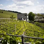 Gaestehaus Im Weingut Am Stein וירצבורג