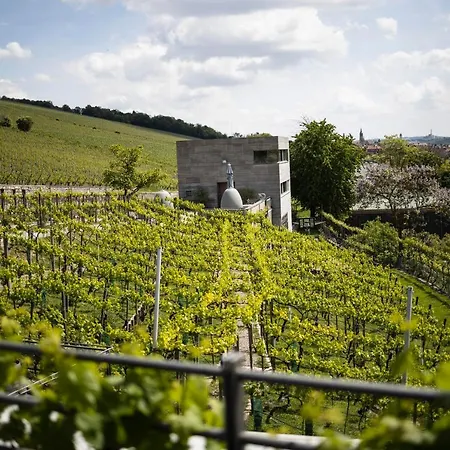 Gaestehaus Im Weingut Am Stein ヴュルツブルク