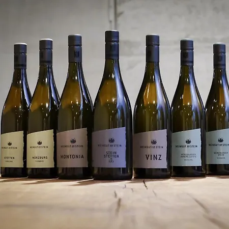 Gaestehaus Im Weingut Am Stein 別荘