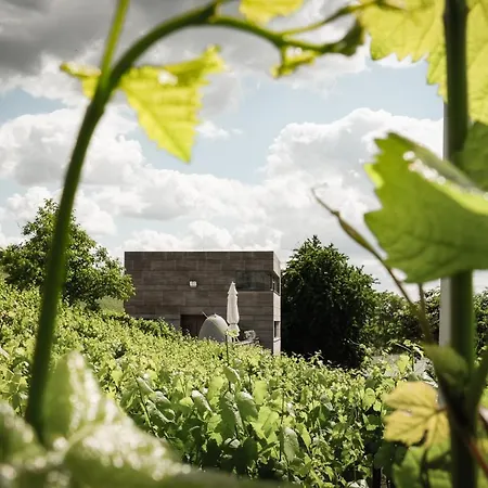 Gaestehaus Im Weingut Am Stein *