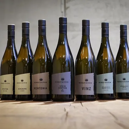 בית נופש Gaestehaus Im Weingut Am Stein *